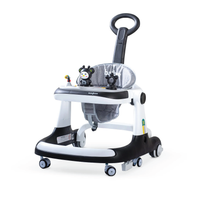 Walker Cum Rocker