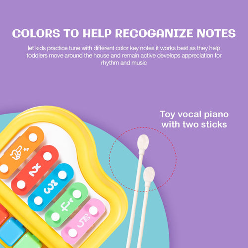 Baybee 2 in 1 Baby Piano Xylophone Musical Toys for Kids with 5 Keys BAYBEE