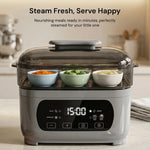 puresteam pro
