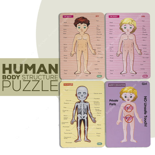 Baybee Wooden Human Body Parts Structure Jigsaw Puzzle Set for Kids Toys BAYBEE