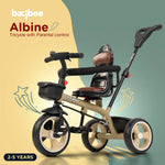 Baybee Albine 2 in 1 Baby Tricycle for Kids, Plug N Play Kids tricycle BAYBEE