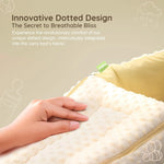 Baybee Premium 3 in 1 Baby Sleeping Bag Cum Carry Bed for New Born BAYBEE