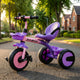 Pink/Purple