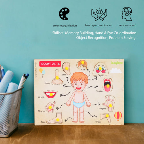 Human Body Anatomy Wooden Puzzle Games for Kids with Easy Pulling Knob BAYBEE