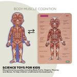 Baybee Wooden Human Body Parts Structure Jigsaw Puzzle Set for Kids Toys BAYBEE