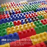 BAYBEE 250pcs Box of Building Blocks for Kids, Educational & Learning Toy for Kids