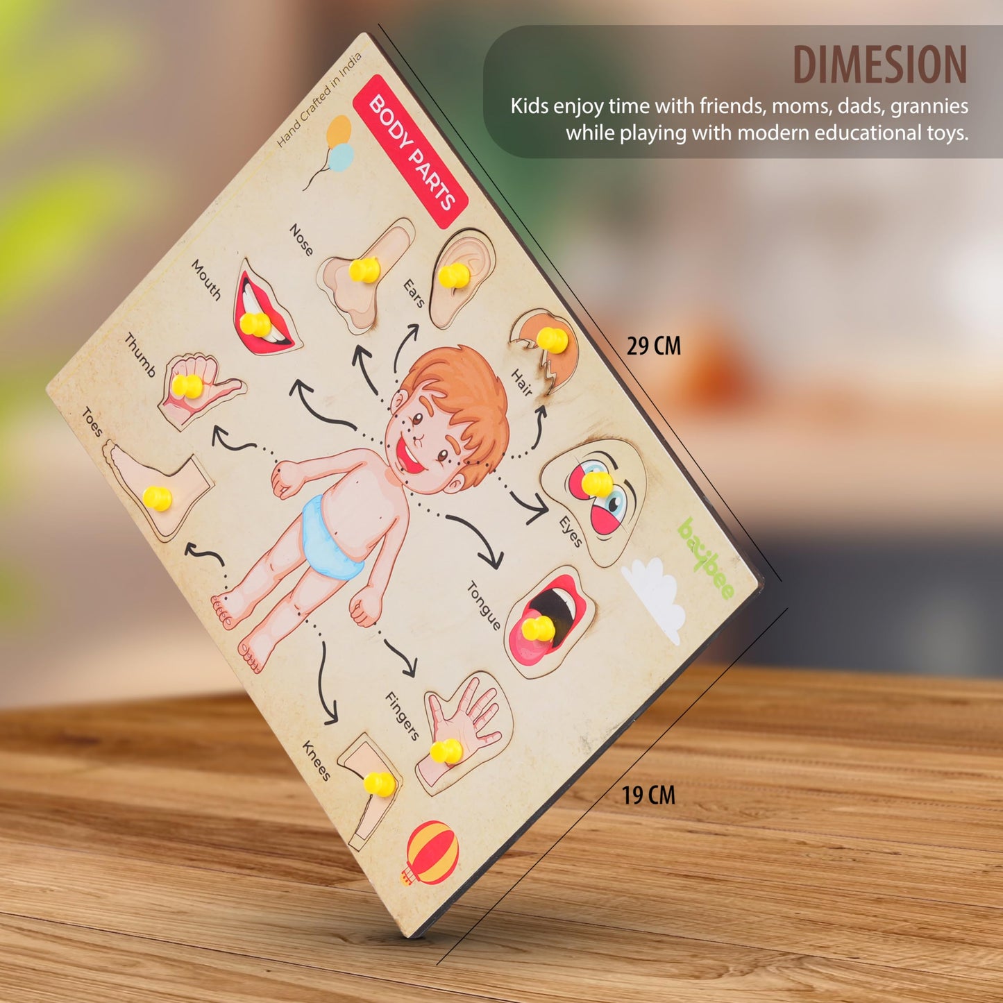 Human Body Anatomy Wooden Puzzle Games for Kids with Easy Pulling Knob