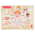Baybee Human Body Anatomy Wooden Puzzle Games for Kids with Easy Pulling Knob BAYBEE