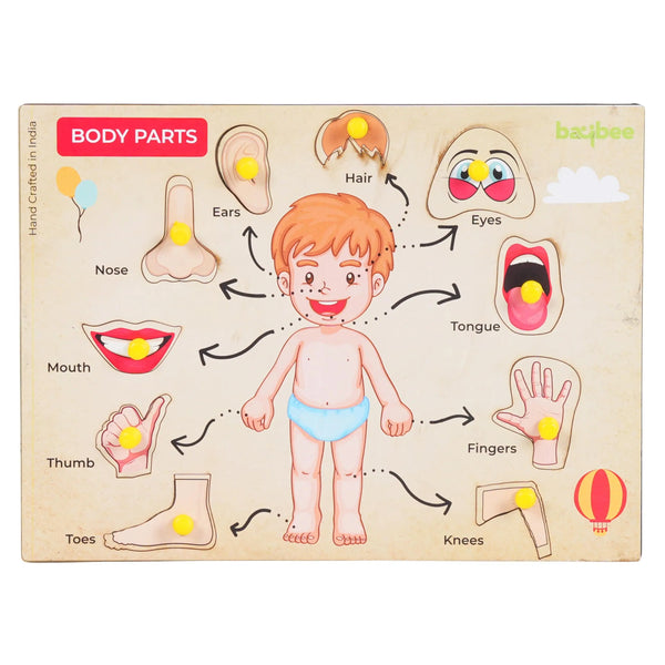 Baybee Human Body Anatomy Wooden Puzzle Games for Kids with Easy Pulling Knob