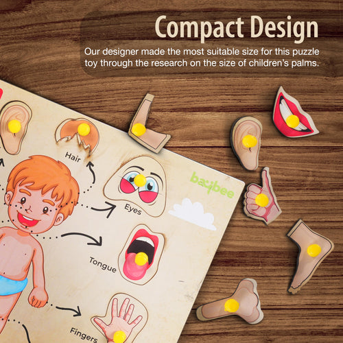 Human Body Anatomy Wooden Puzzle Games for Kids with Easy Pulling Knob BAYBEE