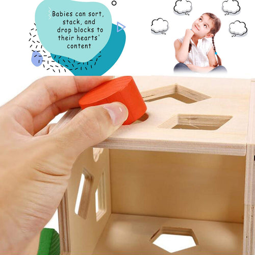 Baybee Wooden Hammer Case Toy Knock Pounding Bench for Kids, Educational Activity Toys for 2+ Year Old (Box Hammer) BAYBEE